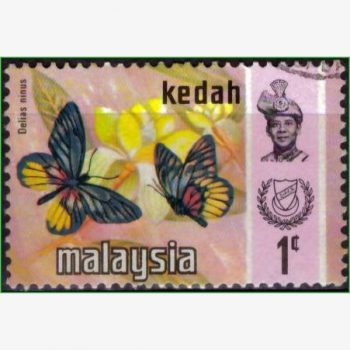 AS14469 | Kedah - Borboletas