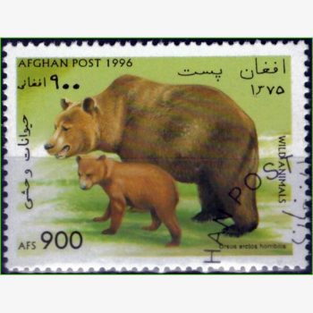 AS14479 | Afeganistão - Ursos