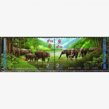 AS14983 | Tailândia - Elefantes