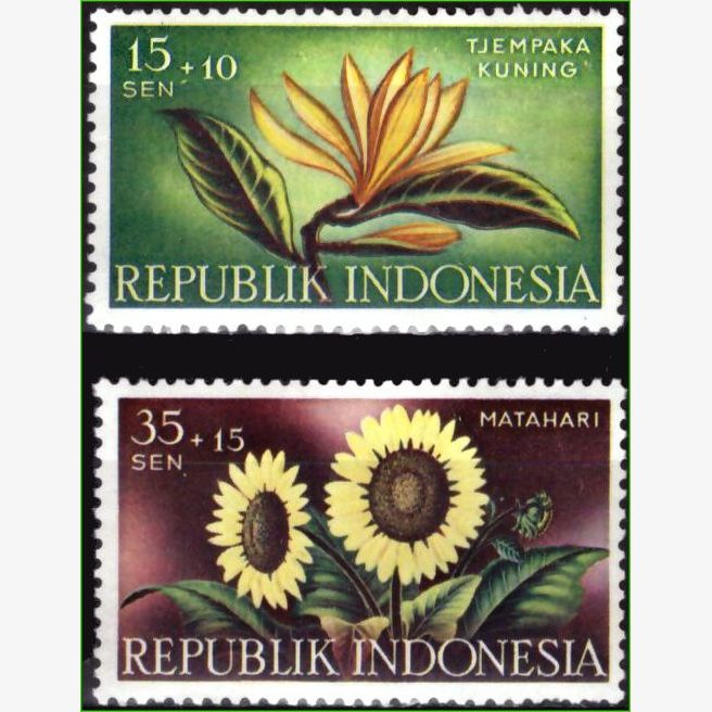 AS15344 | Indonésia - Flores