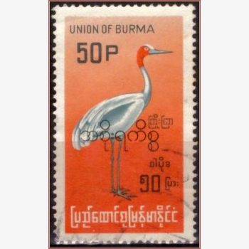 AS17150 | Burma - Grou indiano