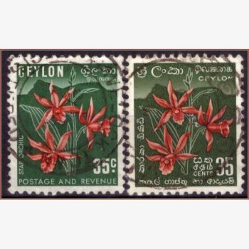 AS17189 | Ceilão - Orquídea estrela