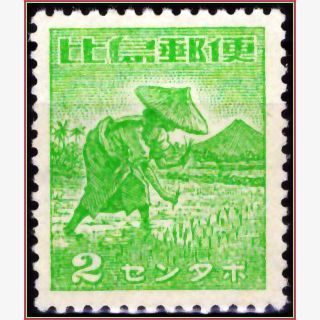 AS17464 | Filipinas - Plantio de arroz