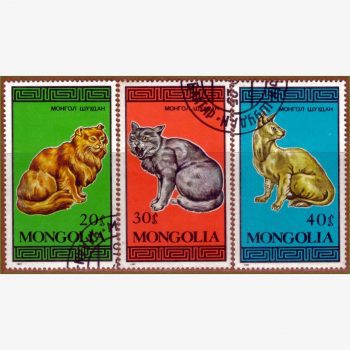 AS17693 | Mongólia - Gatos