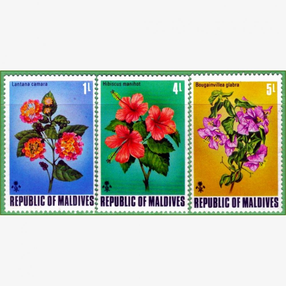 AS18126 | Maldivas - Flores