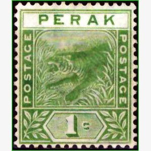 AS18742 | Perak - Tigre