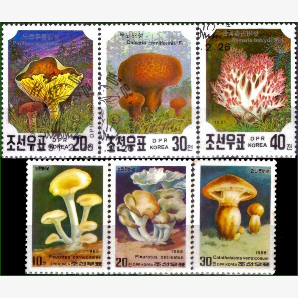 AS18891 | Coréia do Norte - Cogumelos