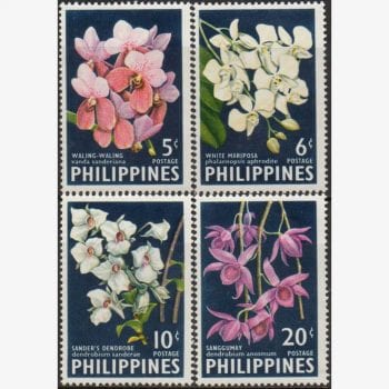 AS7434 | Filipinas - Orquídeas