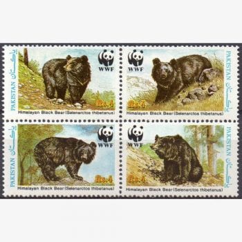 AS7992 | Paquistão - Urso negro do Himalaia