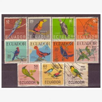 ASU10278 | Equador - Aves