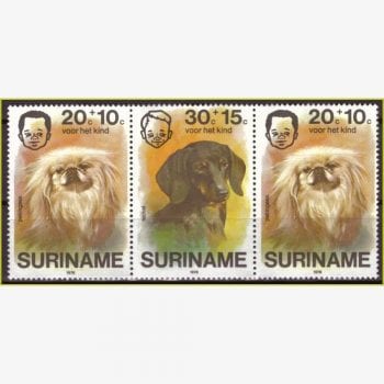 ASU11657 | Suriname - Cães