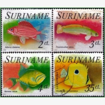 ASU12547 | Suriname - Peixes