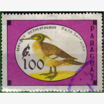 ASU15352 | Paraguai - Aves raras