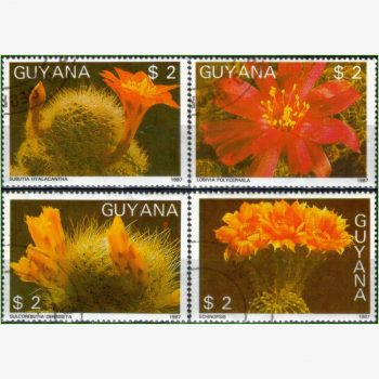 ASU15588 | Guiana - Flores de cactos