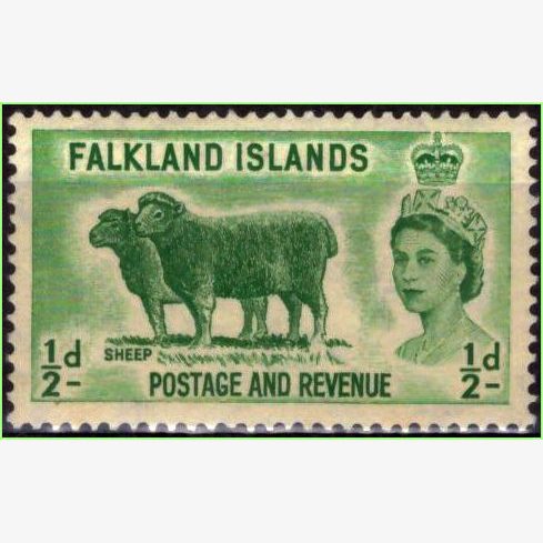 ASU15777 | Ilhas Falkland - Ovelhas e Elizabeth II