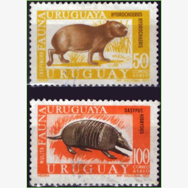 ASU15786 | Uruguai - Fauna uruguaia