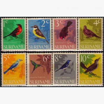 ASU17495 | Suriname - Aves - Pássaros