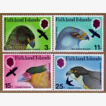 ASU18011 | Ilhas Falklands - Falcões