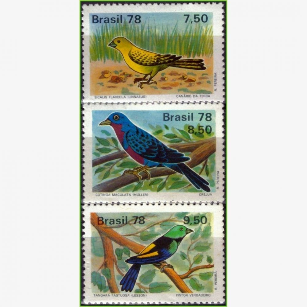 BR13366 | Brasil - Aves - Pássaros