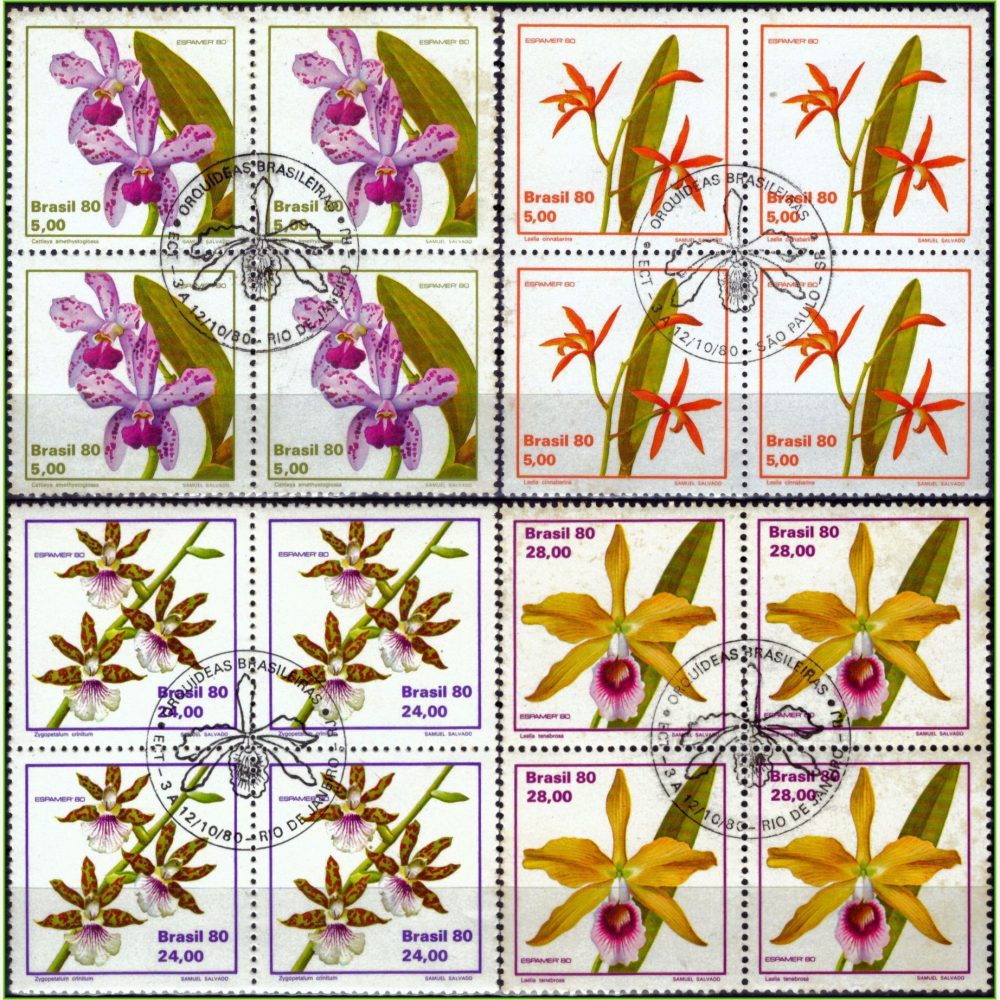 BR15805 | Brasil - Orquídeas
