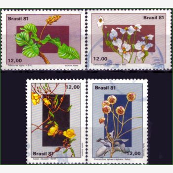 BR18802 | Brasil - Flores do planalto central