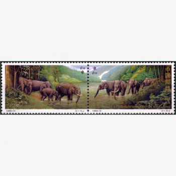CT14984 | China - Elefantes