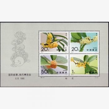 CT7076 | China - Flores - Bloco