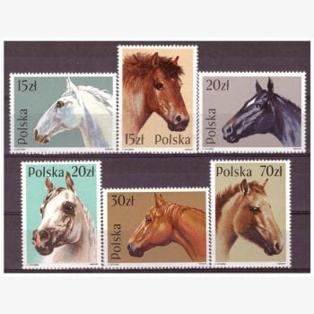 EU10215 | Polônia - Cavalos