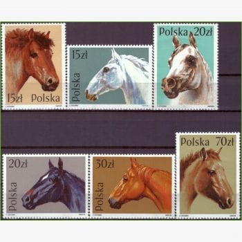 EU12217 | Polônia - Cavalos