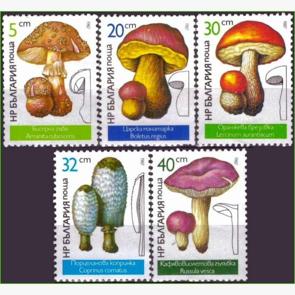 EU13632 | Bulgária - Cogumelos