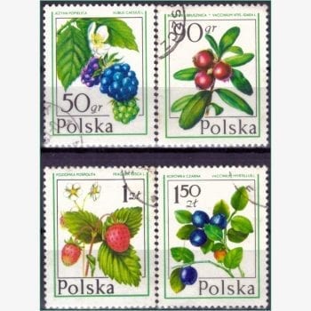 EU13635 | Polônia - Frutas