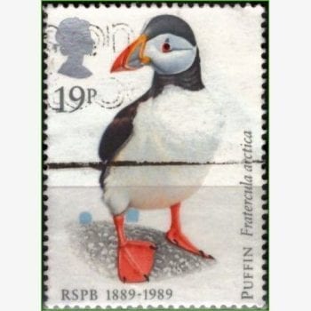 EU13752 | Inglaterra - Puffin - Papagaio do mar