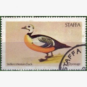 EU14177 | Staffa - Patos