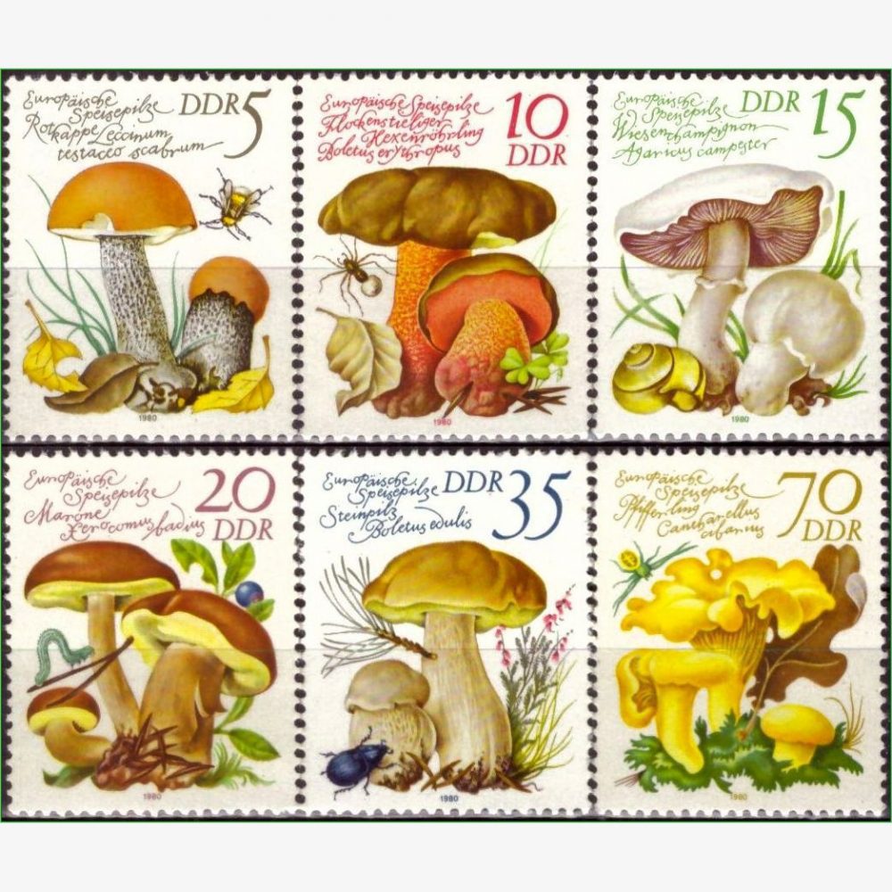 EU15075 | Alemanha (Oriental - DDR) - Cogumelos