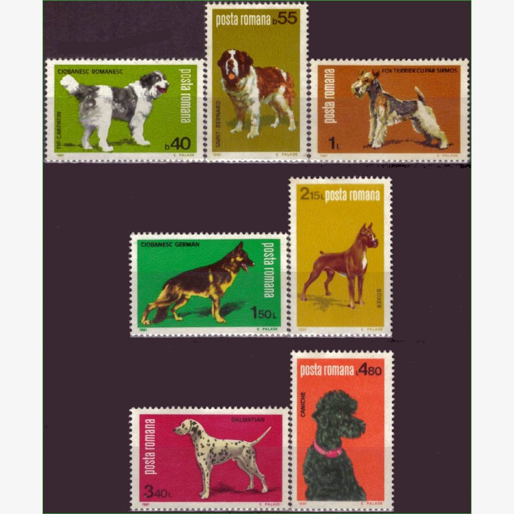 EU15082 | Romênia - Cães