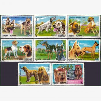 EU15083 | Romênia - Cães