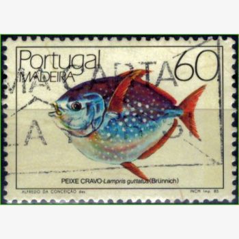 EU15108 | Ilha da Madeira - Peixe cravo
