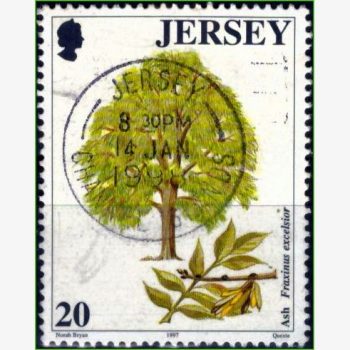 EU18045 | Jersey - Árvores