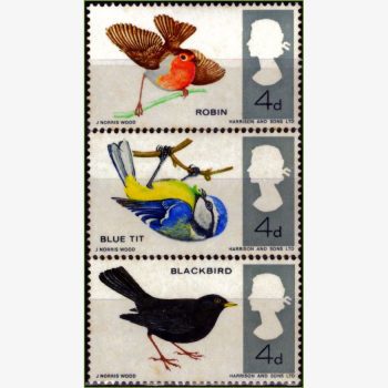 EU18060 | Inglaterra - Pássaros