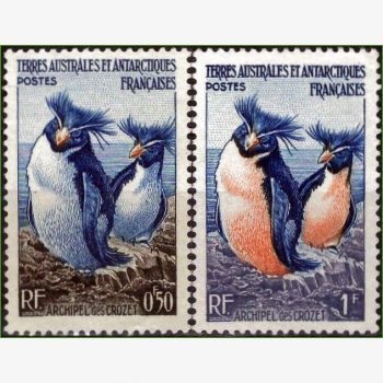 EU18265 | Terras Austrais e Antártica Francesa - Pinguim roqueiro