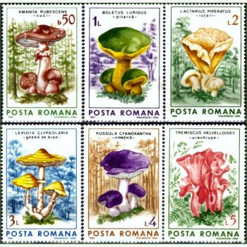 EU18908 | Romênia - Cogumelos