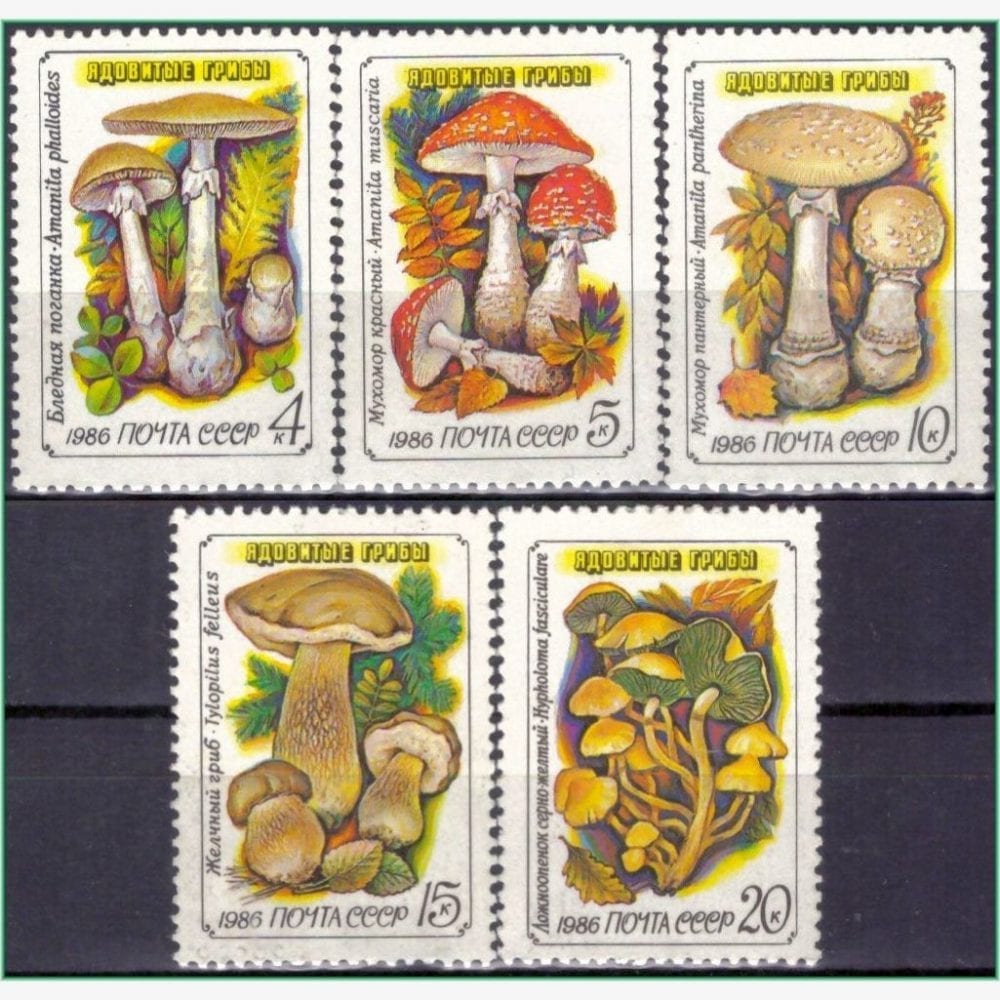 FR12608 | União Soviética - Cogumelos