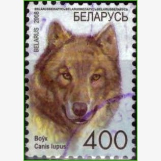 FR14365 | Belarus - Lobo
