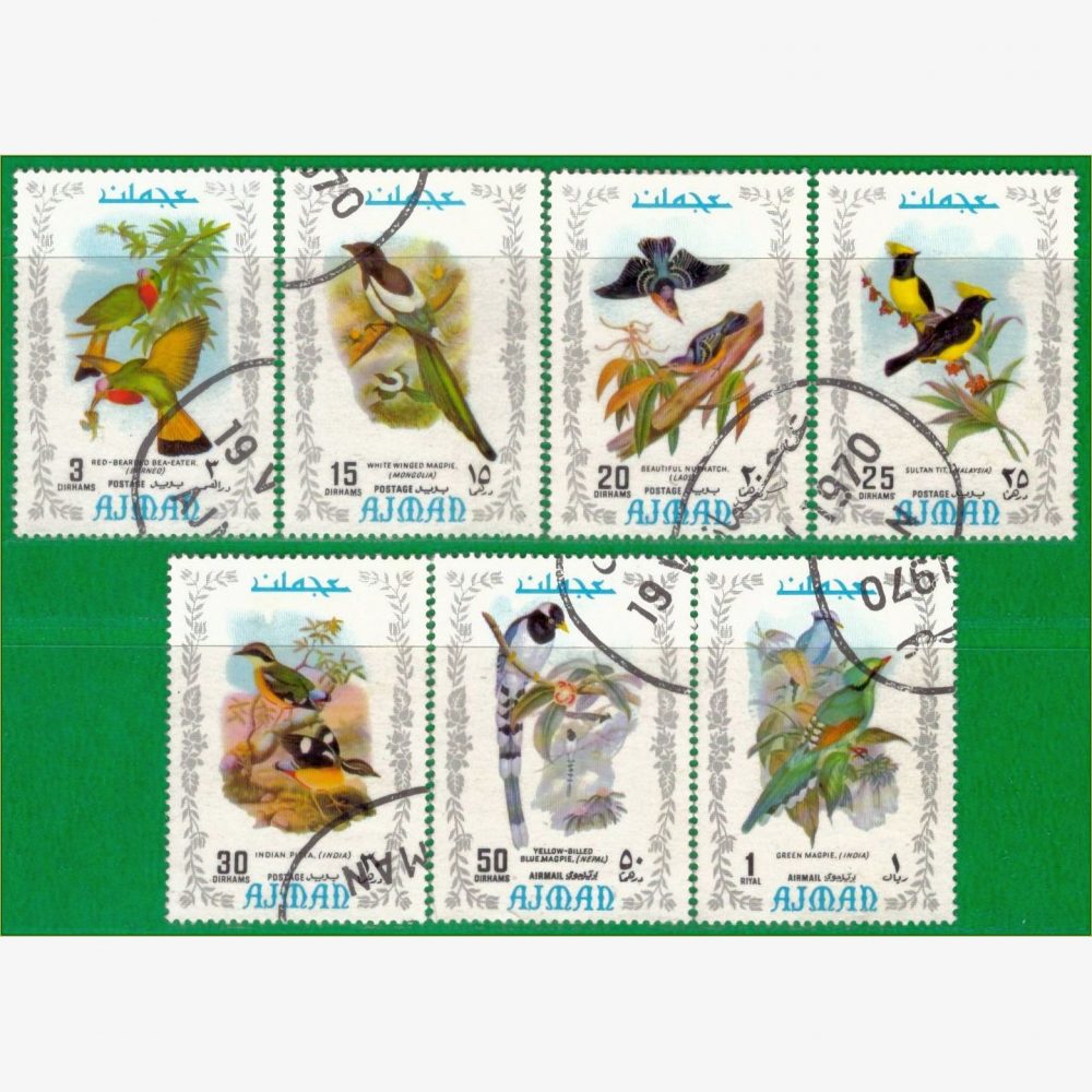 GP18062 | Ajman - Aves exóticas