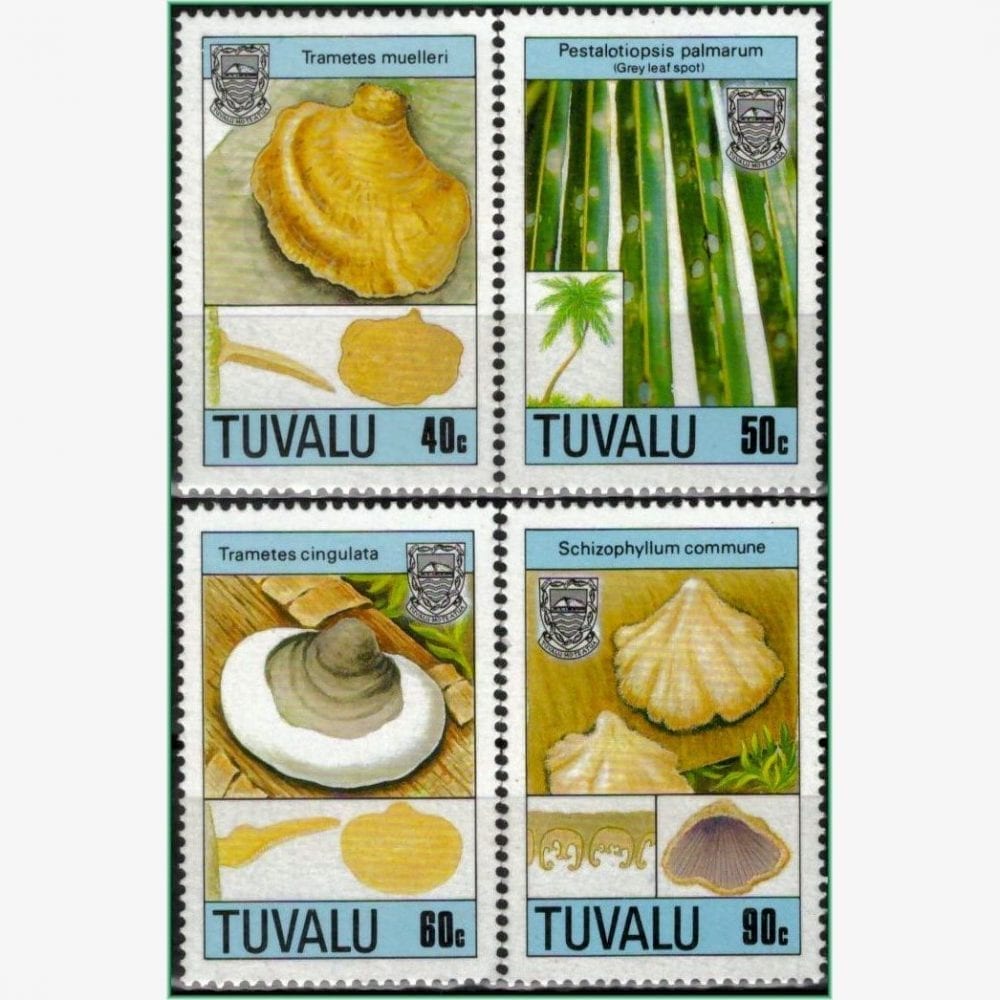 OC12523 | Tuvalu - Cogumelos