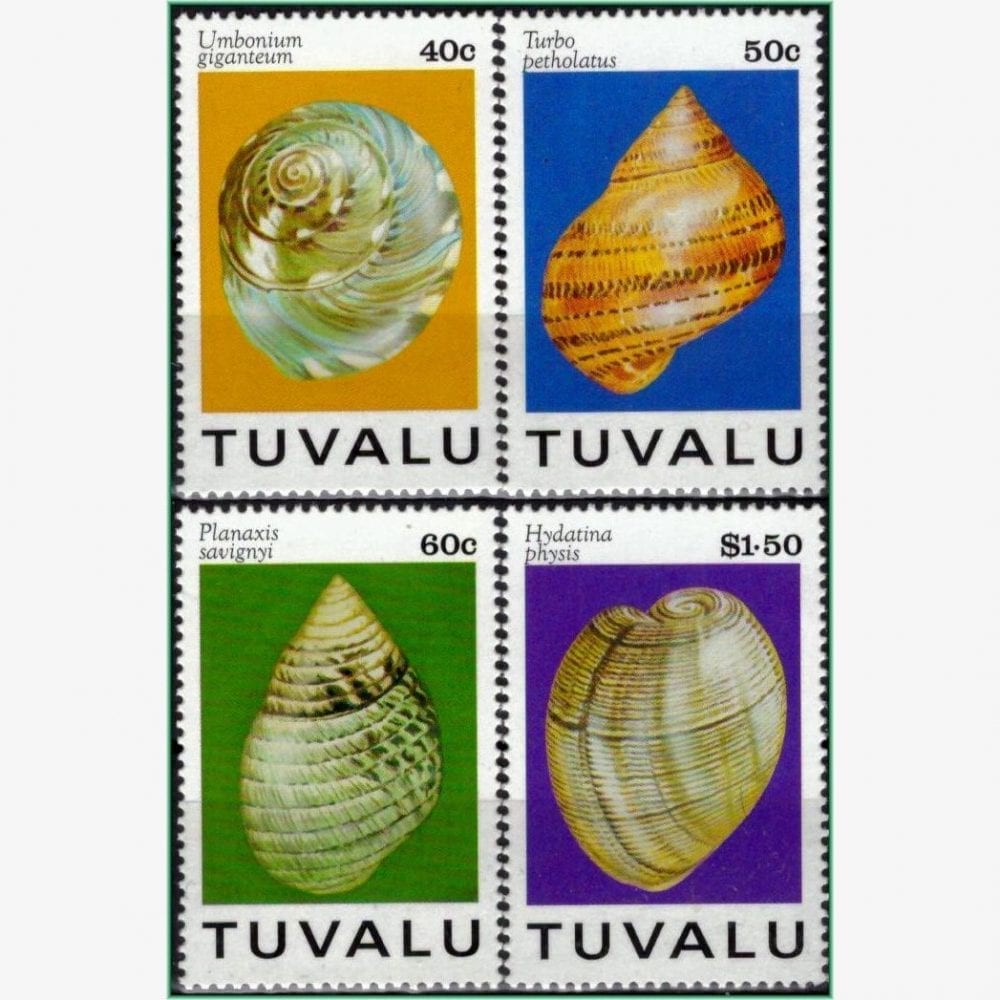 OC13615 | Tuvalu - Conchas