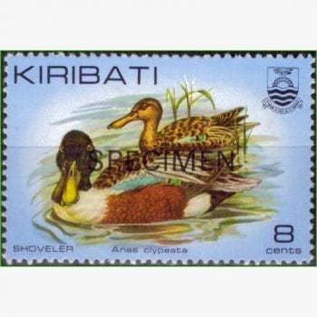 OC13828 | Kiribati - Pato trombeteiro
