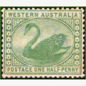 OC14043 | Austrália Ocidental - Cisne