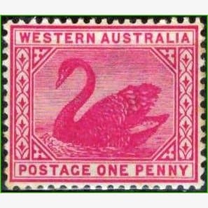 OC14045 | Austrália Ocidental - Cisne