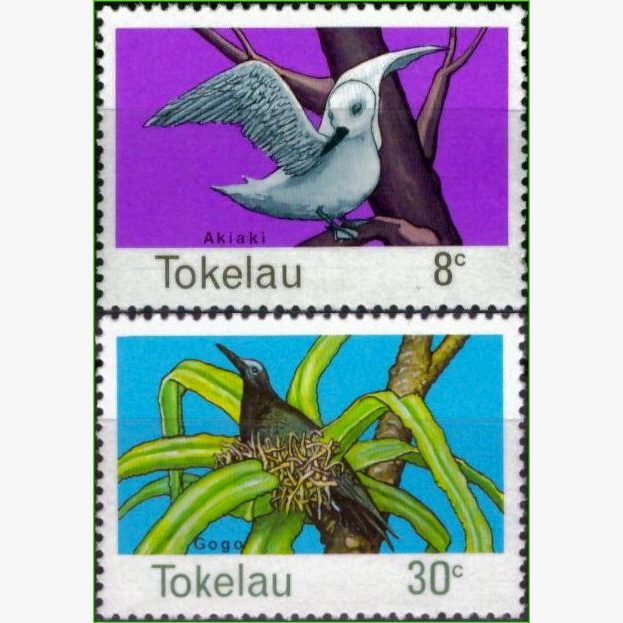 OC15362 | Tokelau - Aves